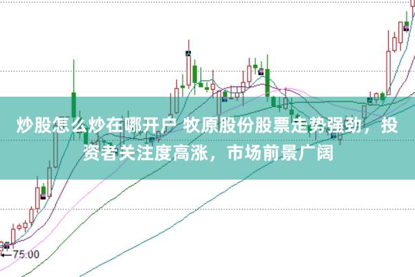 炒股怎么炒在哪开户 牧原股份股票走势强劲，投资者关注度高涨，市场前景广阔