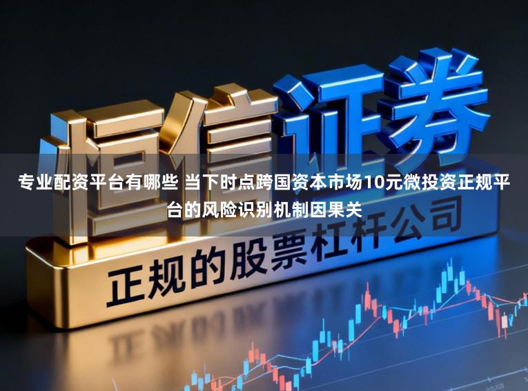专业配资平台有哪些 当下时点跨国资本市场10元微投资正规平台的风险识别机制因果关