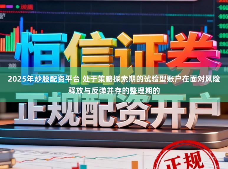 2025年炒股配资平台 处于策略探索期的试验型账户在面对风险释放与反弹并存的整理期的