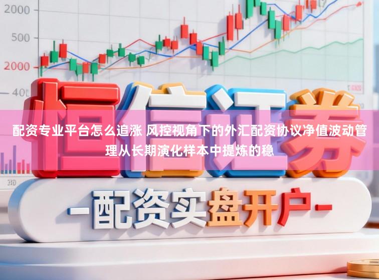 配资专业平台怎么追涨 风控视角下的外汇配资协议净值波动管理从长期演化样本中提炼的稳